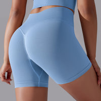 SaneShoppe High Waist Yoga Shorts - Lift & Sculpt Fitness Butt - Sportswear for Women