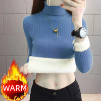 SaneShoppe-Elegant Velvet Lined Turtleneck Sweater Women Warm Winter Top
