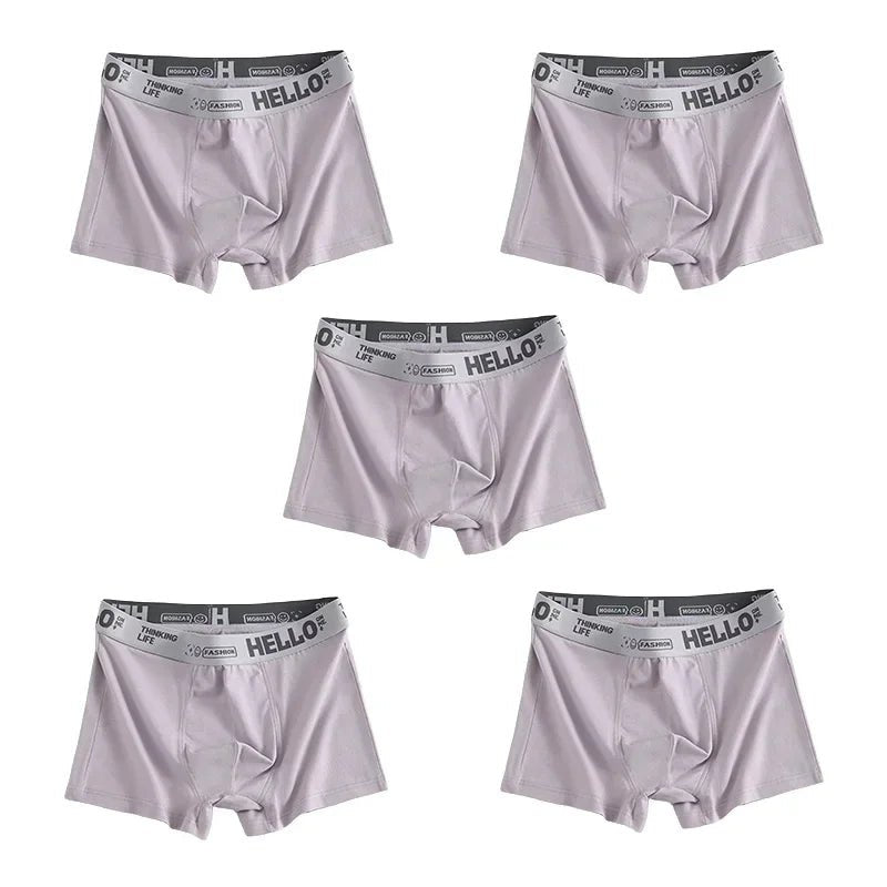 SaneShoppe - 1/5pcs Men's Underwear, Breathable Comfy Quick Drying Stretchy Boxer Trunks