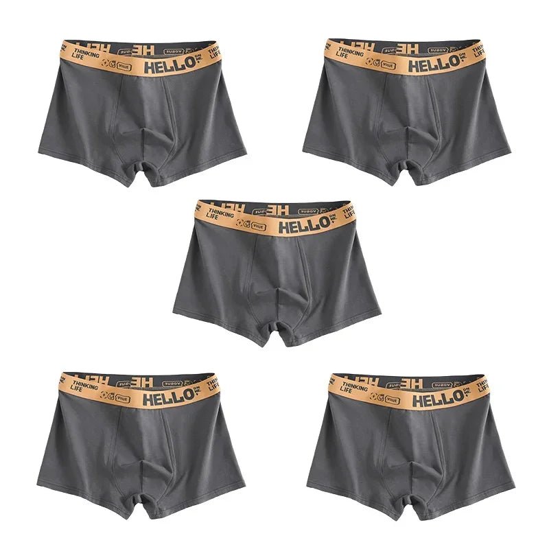 SaneShoppe - 1/5pcs Men's Underwear, Breathable Comfy Quick Drying Stretchy Boxer Trunks