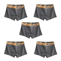 SaneShoppe - 1/5pcs Men's Underwear, Breathable Comfy Quick Drying Stretchy Boxer Trunks