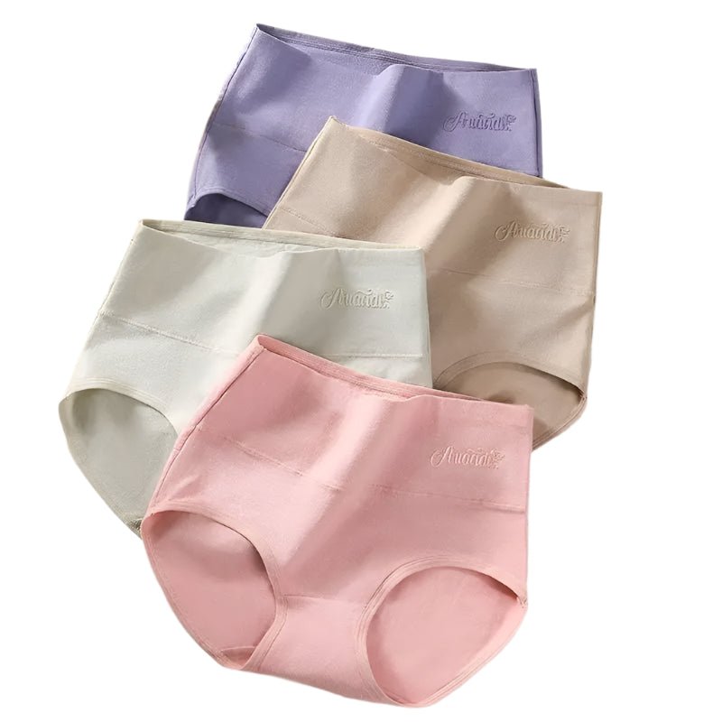 SaneShoppe 4 - Pack Women's Cotton High Waist Underwear, Sizes M - 5XL. Breathable Briefs.