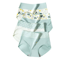 SaneShoppe4 - Pack Women's Cotton High Waist Underwear, Sizes M - 5XL. Breathable Briefs.SaneShoppe