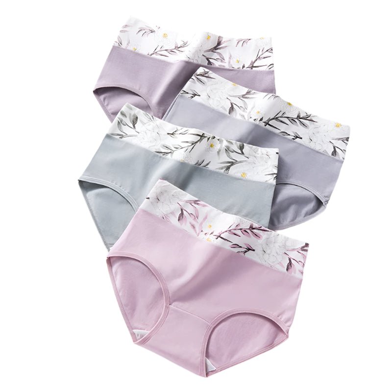SaneShoppe - 4 - Pack Women's Plus Size Cotton Underwear Breathable Briefs