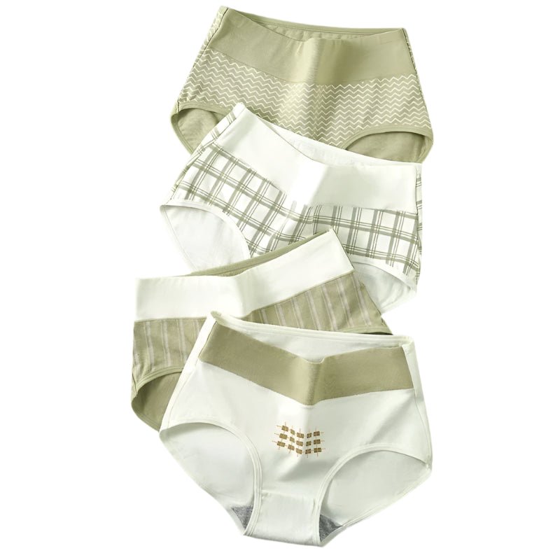 SaneShoppe - 4 - Pack Women's Plus Size Cotton Underwear Breathable Briefs