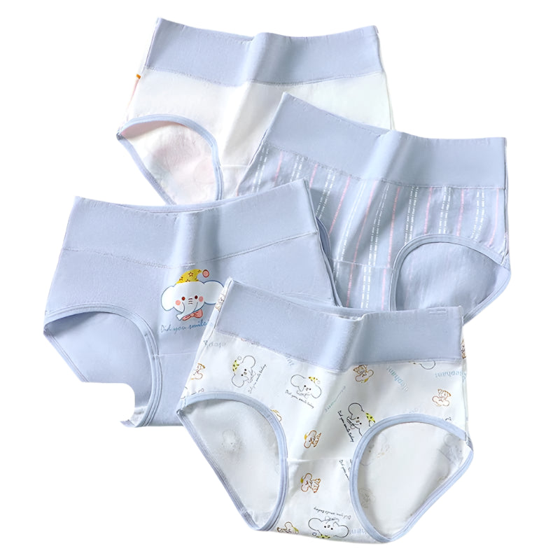 SaneShoppe - 4 - Pack Women's Plus Size Cotton Underwear Breathable Briefs