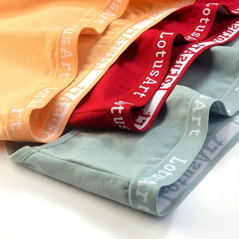 SaneShoppe - 6pcs Women's High Waist Cotton Panties, Solid Colours, Sizes M - 2XL
