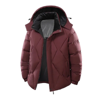 SaneShoppe - Winter Men Windproof Casual Fashion Jacket Mens Puffer Hooded Outdoor Jackets Male Detachable Hat Thick Jacket Windbreaker Parka